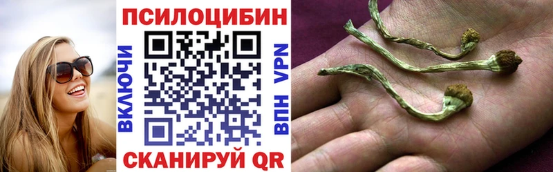 Псилоцибиновые грибы Cubensis  Светлый 